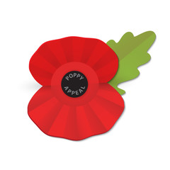 The remembrance poppy