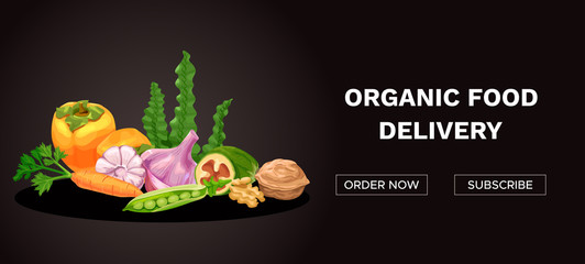 Organic and healthy food delivery banner with colorful icons of