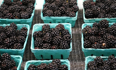 Fresh blackberry in the container boxes