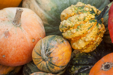 citrouilles et divers courges en décoration pour Halloween