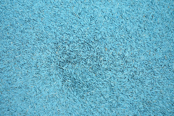 close up on grass seeds in blue color