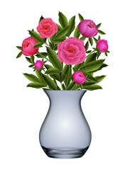 Peony flowers in vase