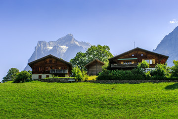 Chalets in the Alps on a bright day in the summer. Grindelwald, Bernese Oberland, Switzerland
