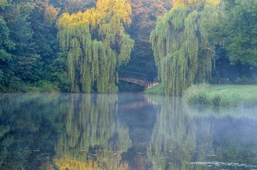 Fototapeta premium Summer morning in the park. Pond and bridge in the castle park in Pszczyna, Poland.
