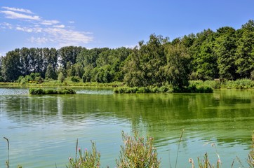 Fototapeta na wymiar Sunny summer landscape. Beautiful pond and blue sky.
