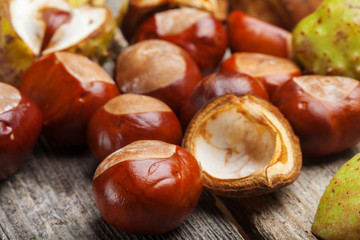 Chestnut on the table