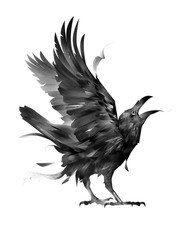 isolated sketch of a seated bird cawing crow