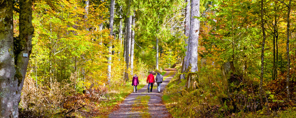 Wandern im Schwarzwald - Hochschwarzwald Nahe Schluchsee
