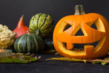 Halloween Jack o Lantern, among autumn leaves