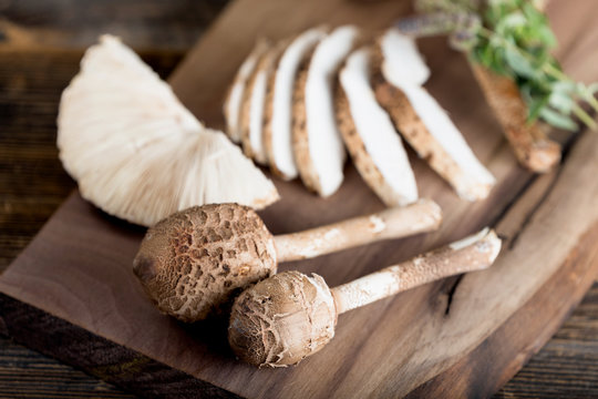 Macrolepiota procera is a very tasty edible mushroom