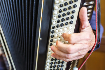 Musician hand playing accordions closeup
