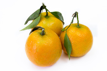 clémentines