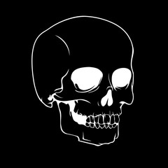 The human skull. Design element for Happy Halloween cards, posters or banner. Cartoon style. Doodles. Vector illustration.