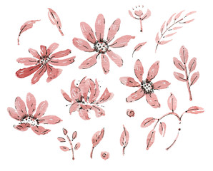 Watercolor flowers © tiff20