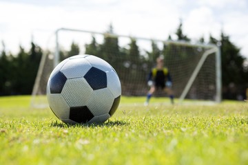 Soccer ball on field against goalkeeper