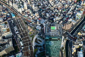 Tokyo skyline from a very high point of view