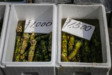 wasabi roots in a food market in Tokyo
