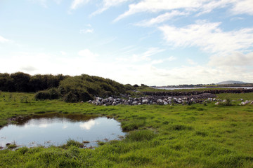 Burren Area (Ireland)
limestone 