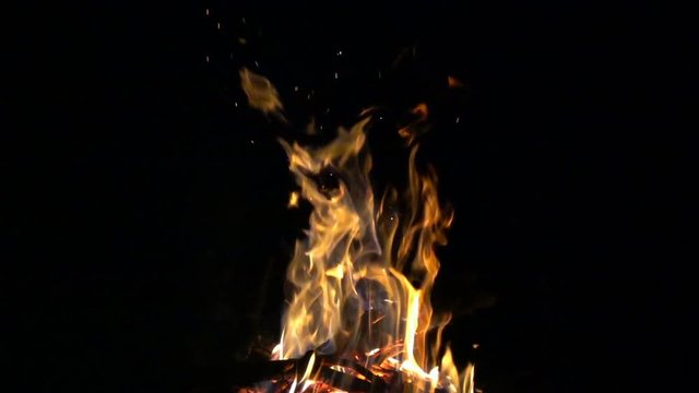 Campfire at night, burning fire bonfire 8x slow motion