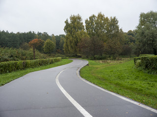 Autumn rainy day wet asphalt road with white line in park surrounded with trees