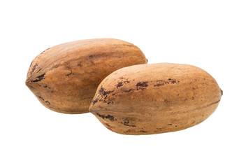 Pecan  nut  macro shot