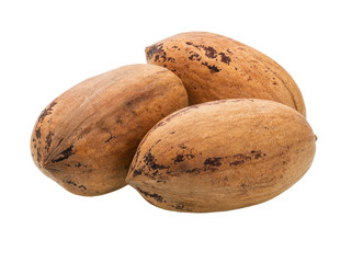 Pecan  nut  macro shot