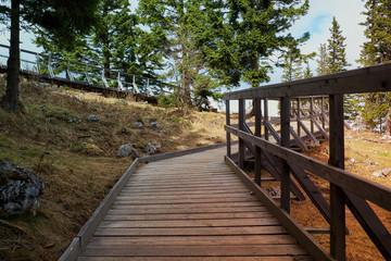 Obraz premium Board bridge for hiking in mountains