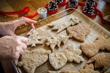Woman in kitchen making Christmas gingerbread cookies