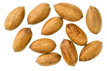 Pecan top view