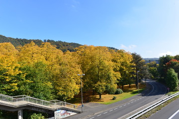 Marburg an der Lahn im Herbst