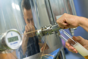 manufacturer pouring beer in glass from machine at brewery