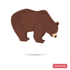 Brou bear color flat icon for web and mobile design