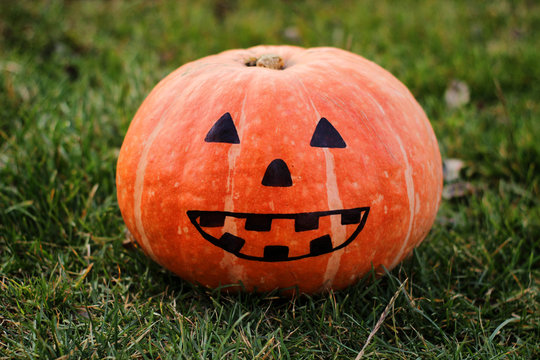 Orange pumpkin closeup with painted eyes and mouth is lying on green grass