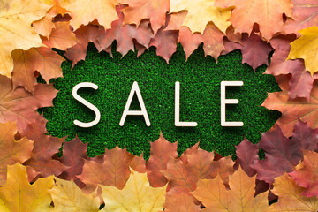 The word "sale" on the green lawn among the autumn leaves