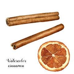 Watercolor cinnamon with orange slice set. Hand painted spice with citrus isolated on white background. Christmas botanical clip art for design or print. Holiday plant.