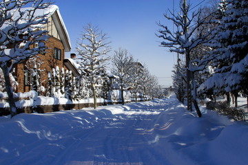 Obraz premium Snow scenery in Sapporo city, Hokkaido