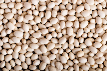 Texture of  white beans.