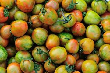 fresh tomatoes selling at vegetable market