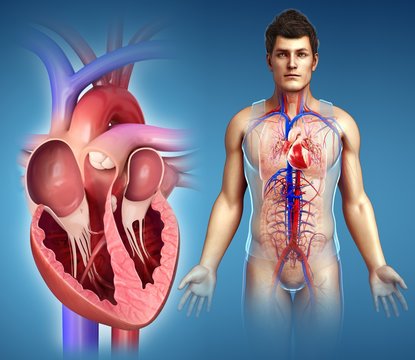 Illustration of man's heart against blue background