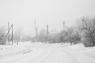 Fototapeta premium Snowing landscape with trees