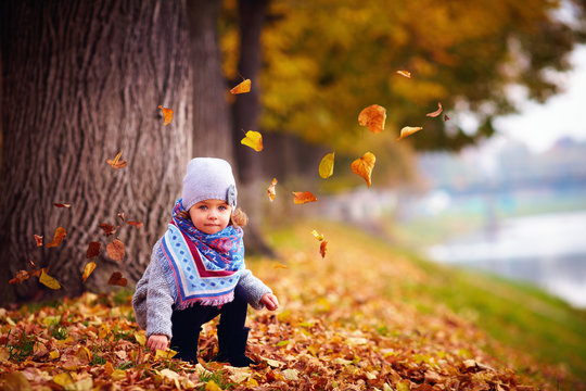 adorable happy baby girl sitting in fallen leaves in autumn park