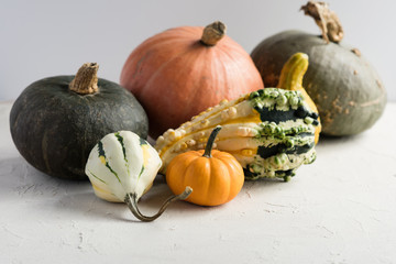 Pumpkins, gourds, squashes. Selective focus, copy space, toned image