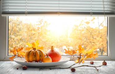 Pumpkins and yellow oak leaves by the window on a rainy day