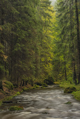 Chribska Kamenice river in national park Ceske Svycarsko