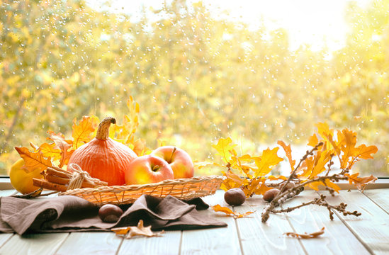 Pumpkins and yellow oak leaves on a window board on a rainy day
