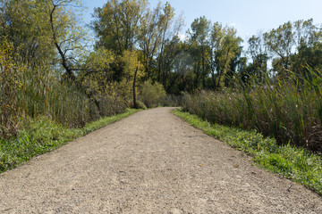 Fototapeta na wymiar beautiful meadow path