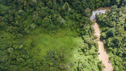 An aerial view of  forest