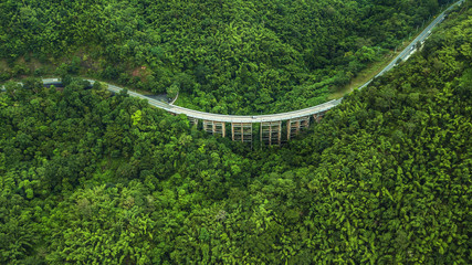 An aerial view of  Road or bridge is in the middle of a forest