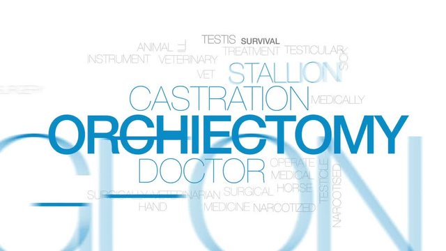 Orchiectomy animated word cloud, text design animation. Kinetic typography.