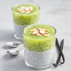 Vanilla chia pudding with kiwi, layered dessert, on concrete background, square format